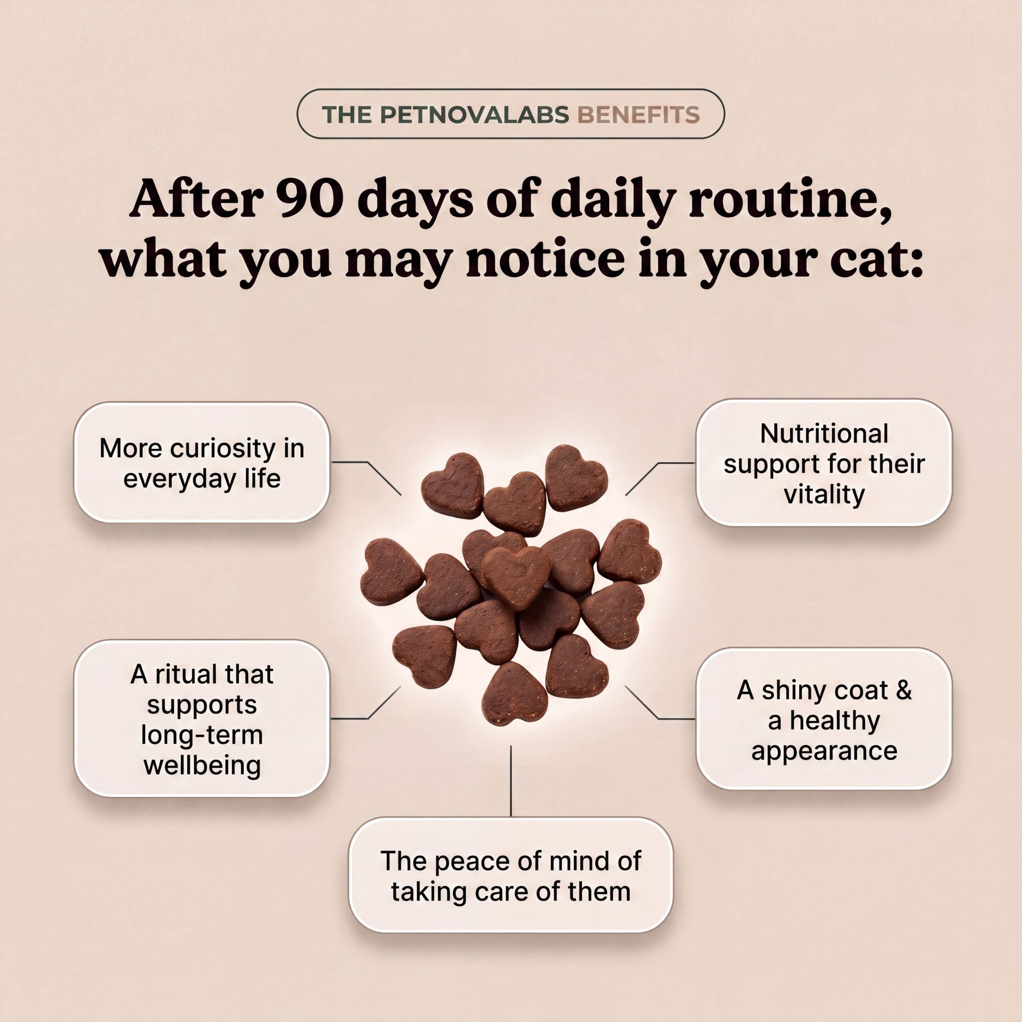 Essential Taurine Chews™ | PetNovaLabs