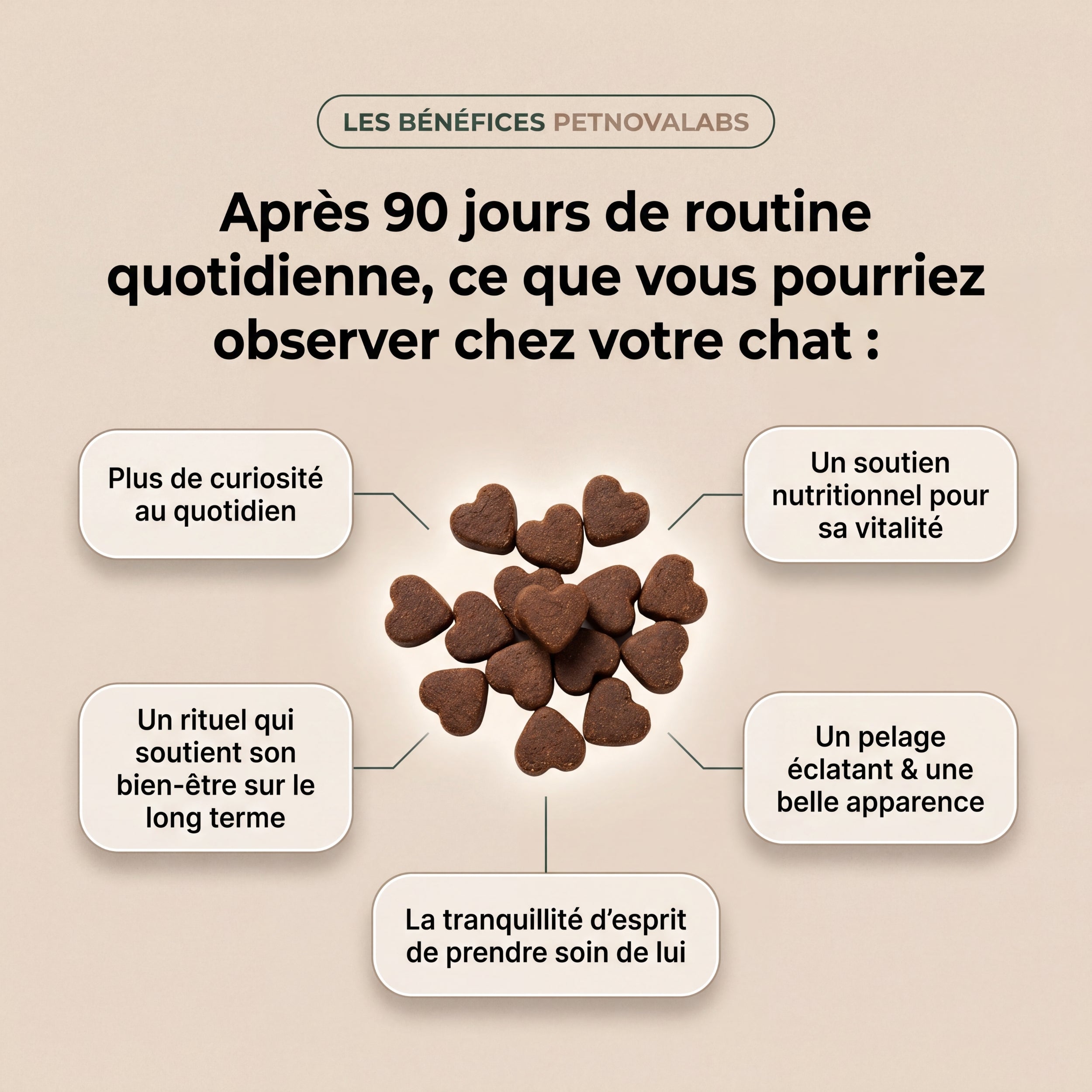 Bouchées Taurine Essentielle | PetNovaLabs